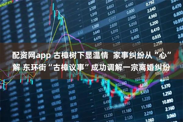 配资网app 古樟树下显温情  家事纠纷从“心”解 东环街“古樟议事”成功调解一宗离婚纠纷