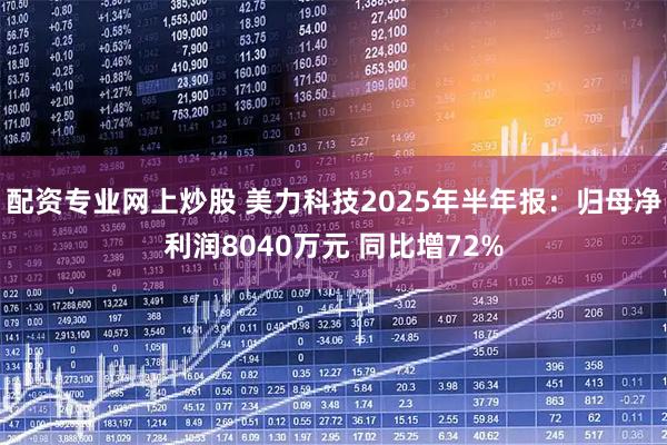 配资专业网上炒股 美力科技2025年半年报：归母净利润8040万元 同比增72%